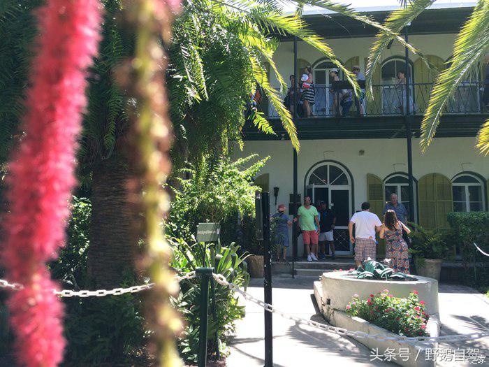 野鹅旅行,野鹅自驾无人区