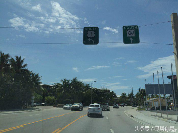 野鹅旅行,野鹅自驾无人区