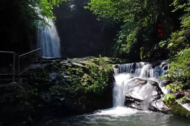 我叫南昌,这是我的最新简历,请多关照!