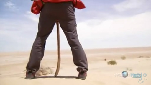 贝爷吃过最恶心的虫子,贝爷吃过十大恶心虫子