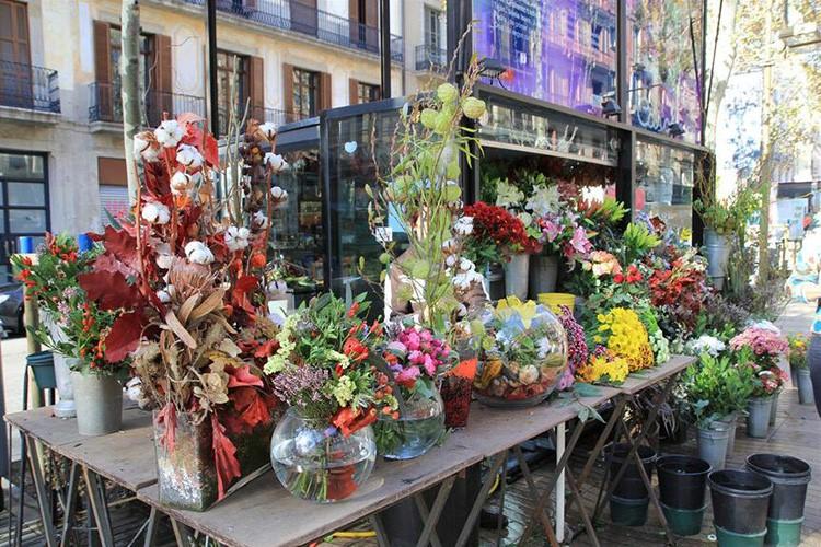 斑马旅游马尔代夫,斑马旅游景点在哪里