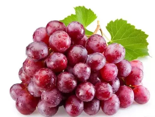 word哥经典剪辑,word哥wwe