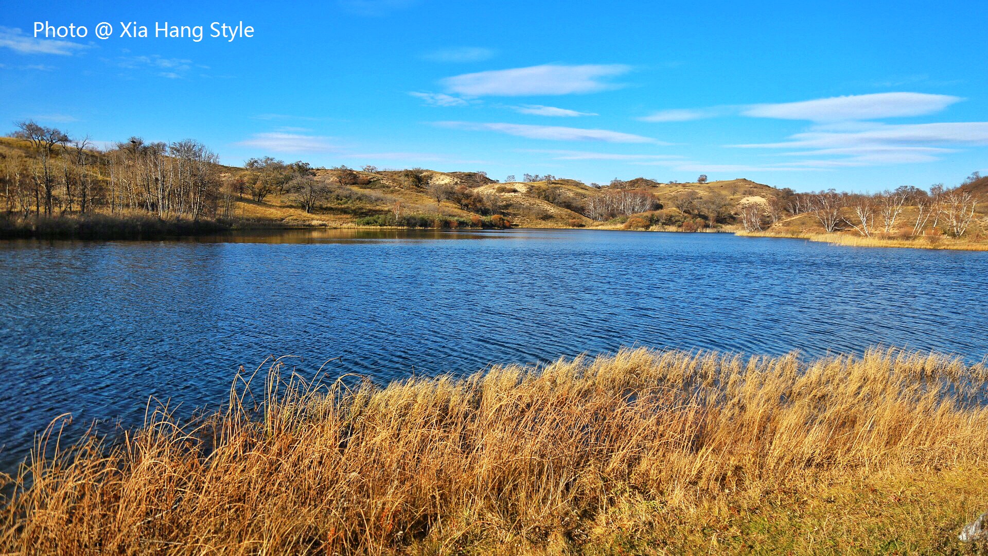 唐古拉山的凄美爱情故事,一段凄美的蒙古爱情故事