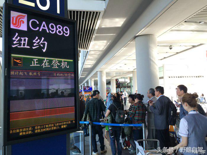 野鹅旅行,野鹅自驾无人区