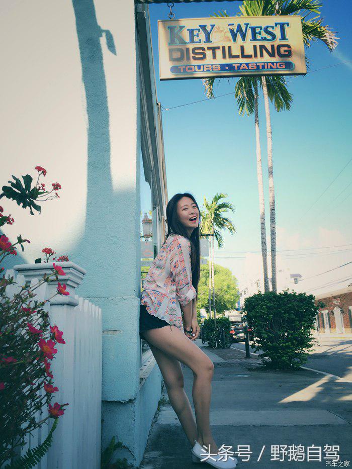 野鹅旅行,野鹅自驾无人区