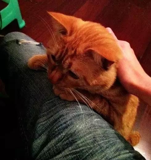 周末想要放松？不如做一次愚蠢的人类吧！