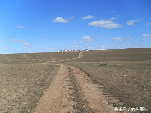 内蒙希拉穆仁草原风景视频,希拉穆仁大草原和内蒙古大草原