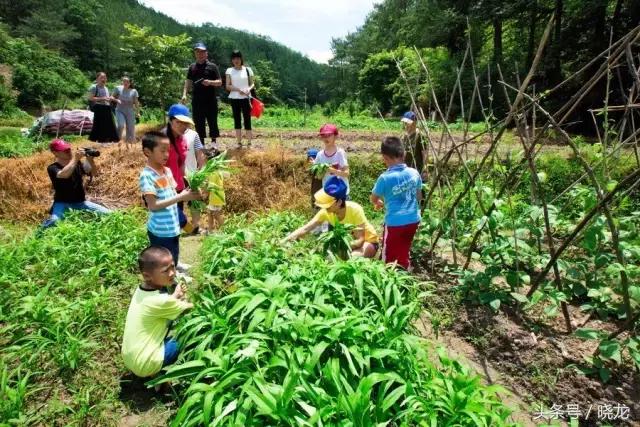 农村养殖种植与三农创业致富项目,40-50岁创业项目适合农村的