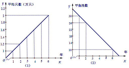 数学初中函数应用题教学,初中函数教学及考点研究学习收获
