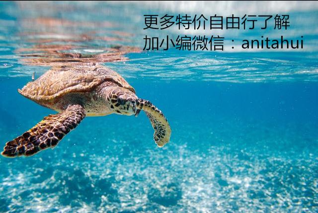 塞舌尔海洋天堂,最后的伊甸园之塞舌尔