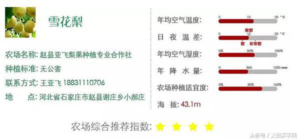 买梨子怎么选才好吃,义田买手