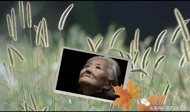 河东锁乡愁：老院情悠悠