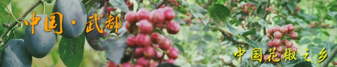 韩城花椒和武都花椒 (汉源花椒和富平花椒)