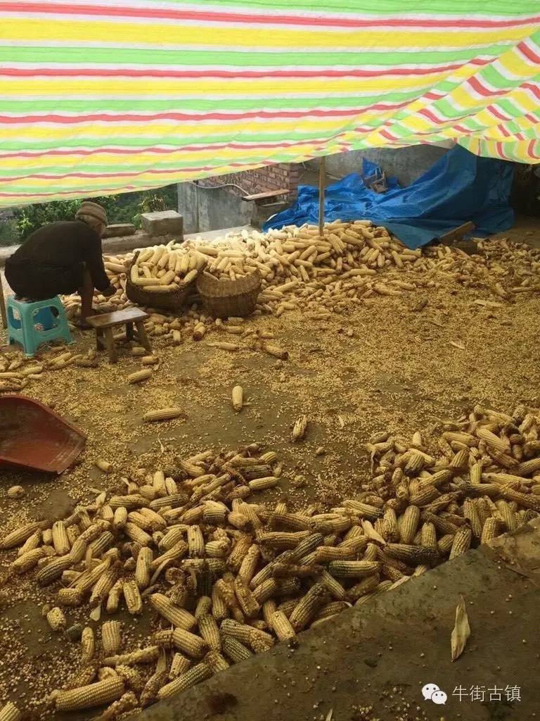 牛街自述，看完再也不嫌弃你了~~~