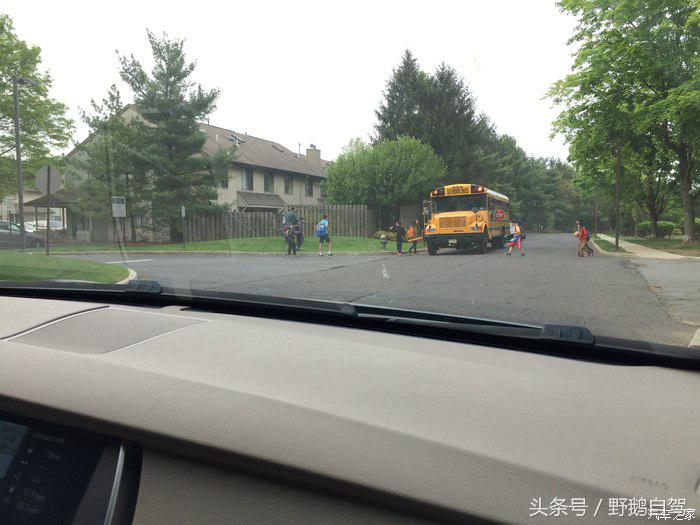 野鹅旅行,野鹅自驾无人区