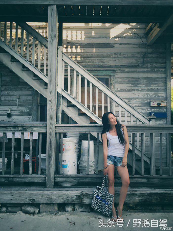 野鹅旅行,野鹅自驾无人区