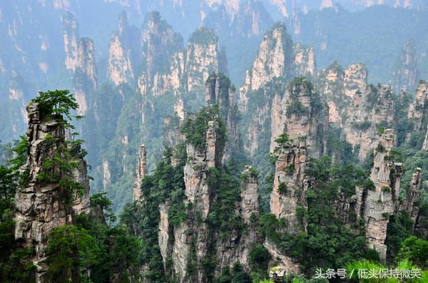 武汉到张家界自由行攻略,上海到张家界自驾游详细攻略