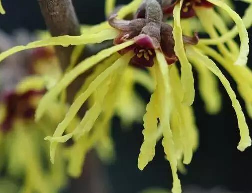 既是洗面奶又是卸妆水,按摩乳和洁面乳有什么区别