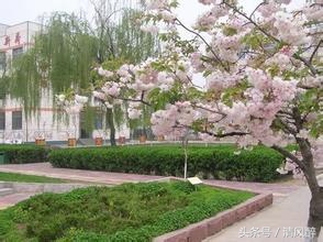 描写校园的优美句子,校园夕阳西下的唯美句子