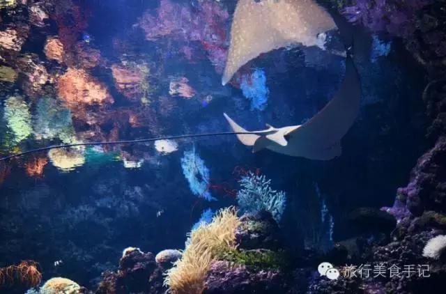 小嫚儿视频,青岛市北区小嫚儿