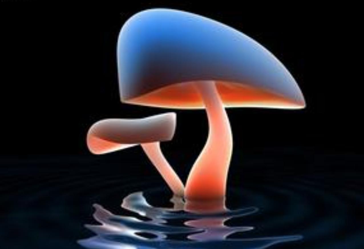 鍏嶇柅鍖栧鍙戝厜鍒嗘瀽浠猰q60plus,鍏ㄨ嚜鍔ㄥ寲瀛﹀彂鍏夊厤鐤垎鏋愪华thermo