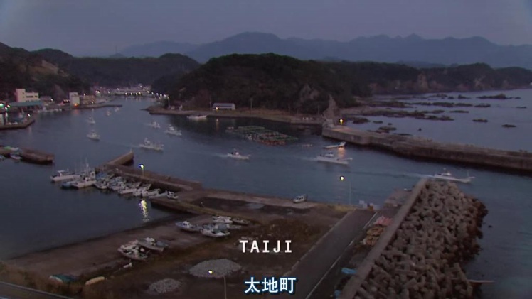 海豚湾罪人啊啊啊太气愤了