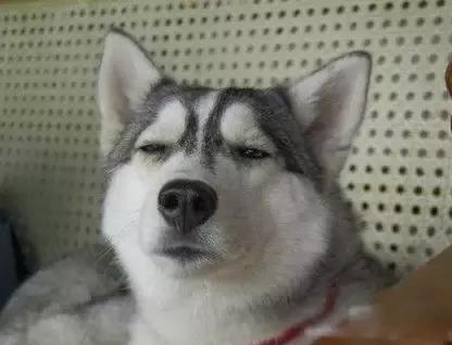 重庆普通话搞笑段子超经典,爆笑重庆话