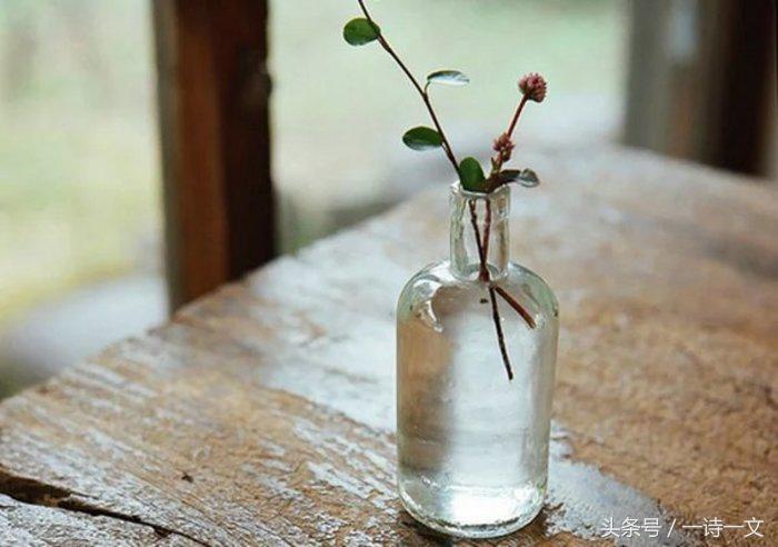 一个普通人的平淡生活,平淡人生生活启示录