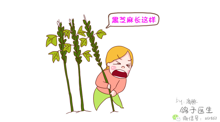 孕早期安胎食物,孕妇七大最佳安胎食物