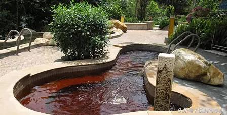 广东下周气温“跌”，不如一起去约“泡”吧...