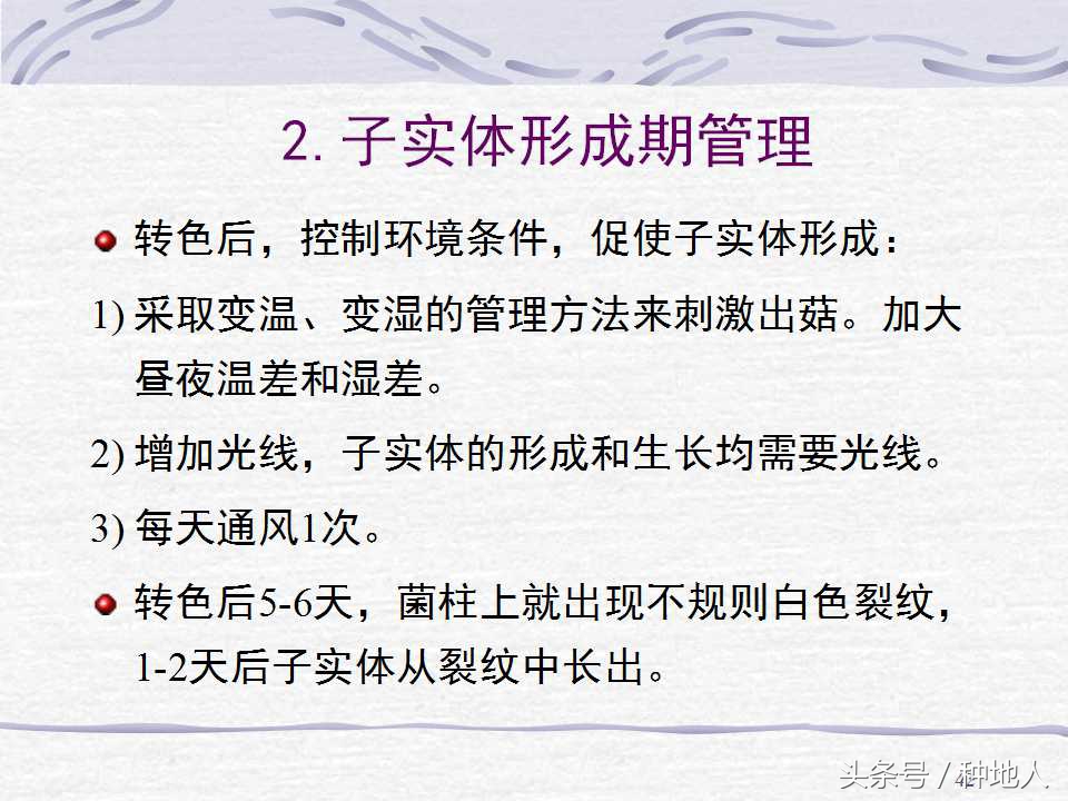 香菇栽培实用技术教案,屋顶香菇栽培