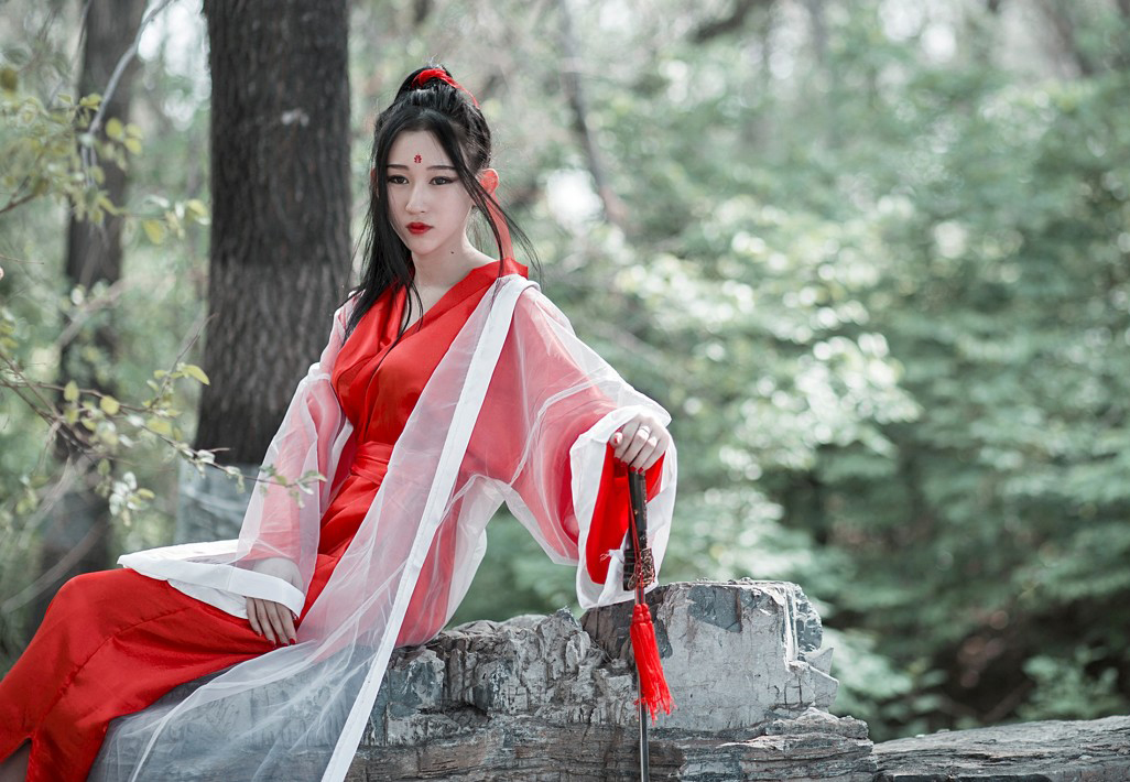 小说森林秘密,小说竹林深处的秘密