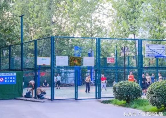 老合肥杏花公园,合肥曾经有两个杏花公园