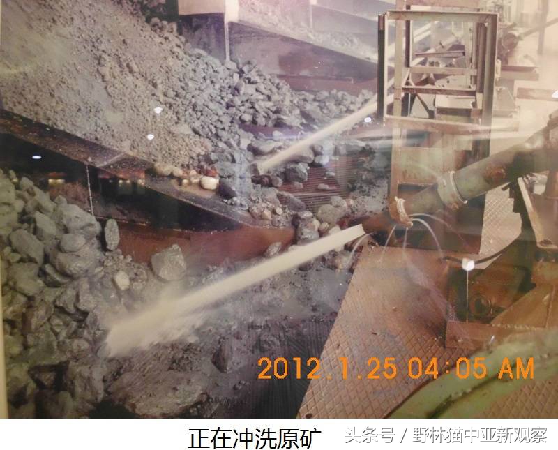 野林猫之-俄罗斯琥珀之都探秘