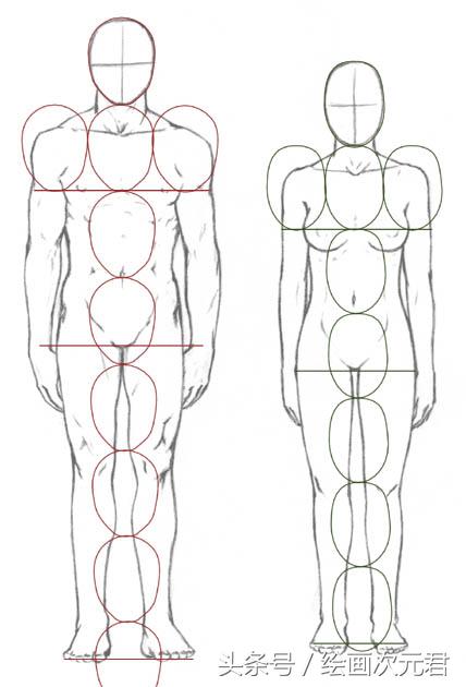 画好的人体结构画法,人体结构与动态基础教程