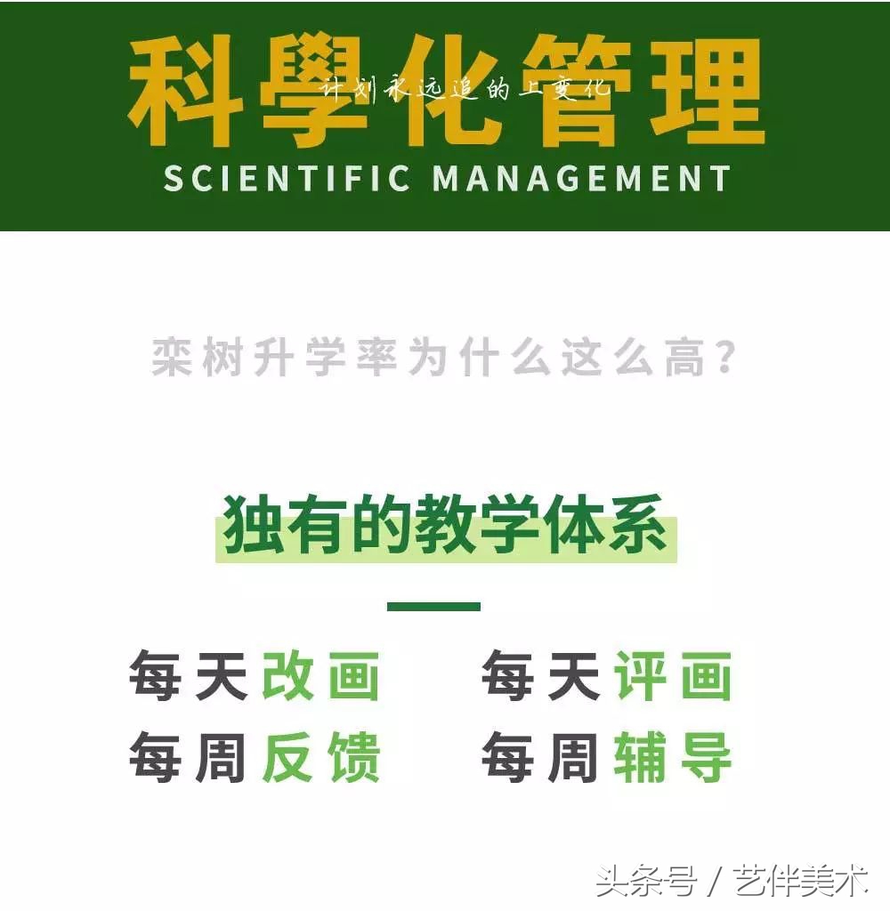 栾树画室地址在哪里,栾树画室学费