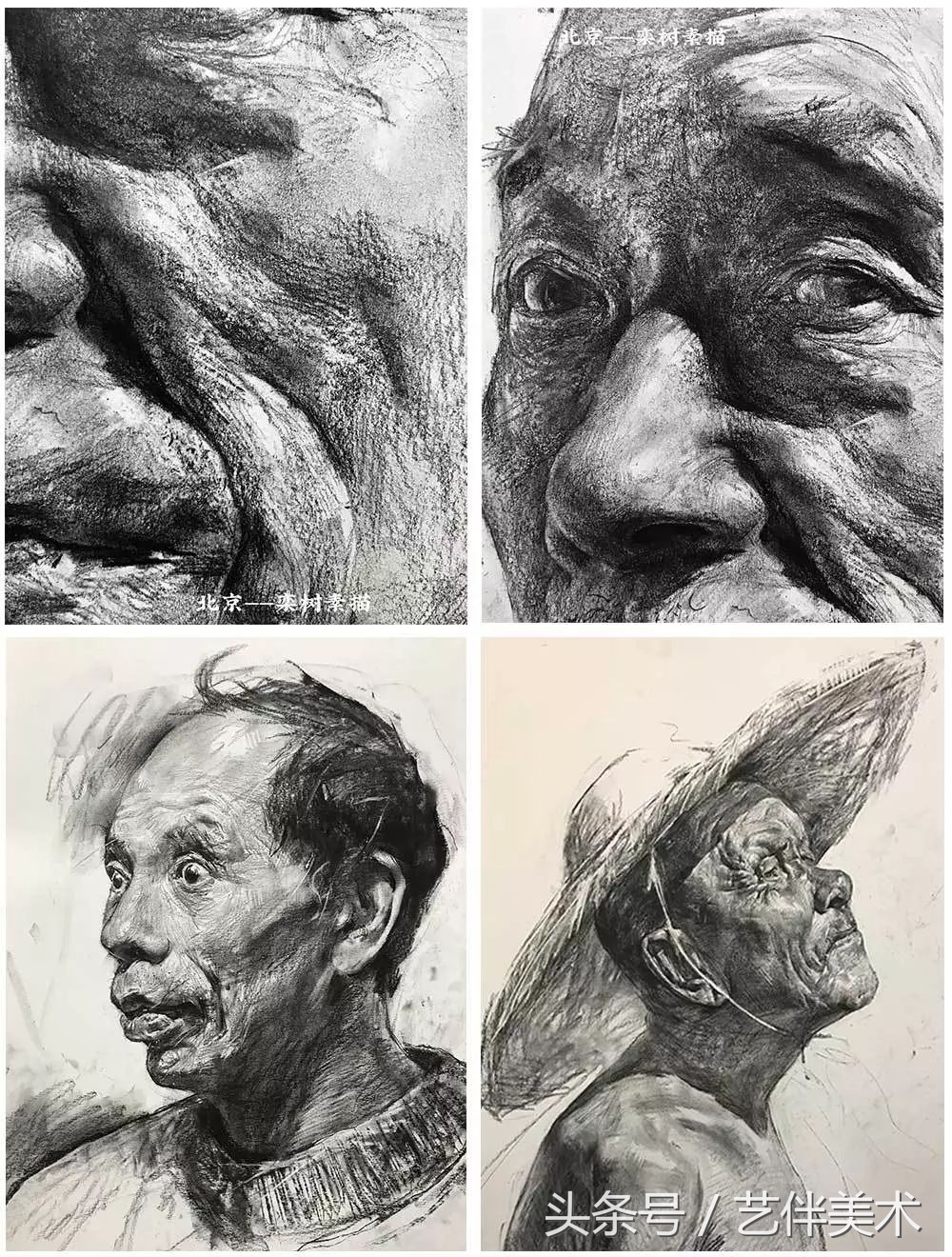 栾树画室北京,栾树画室