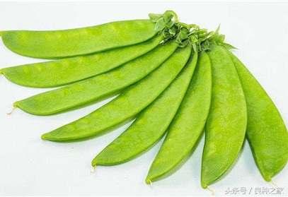 餐桌上常见的本土作物是什么,10种常见的粮食作物