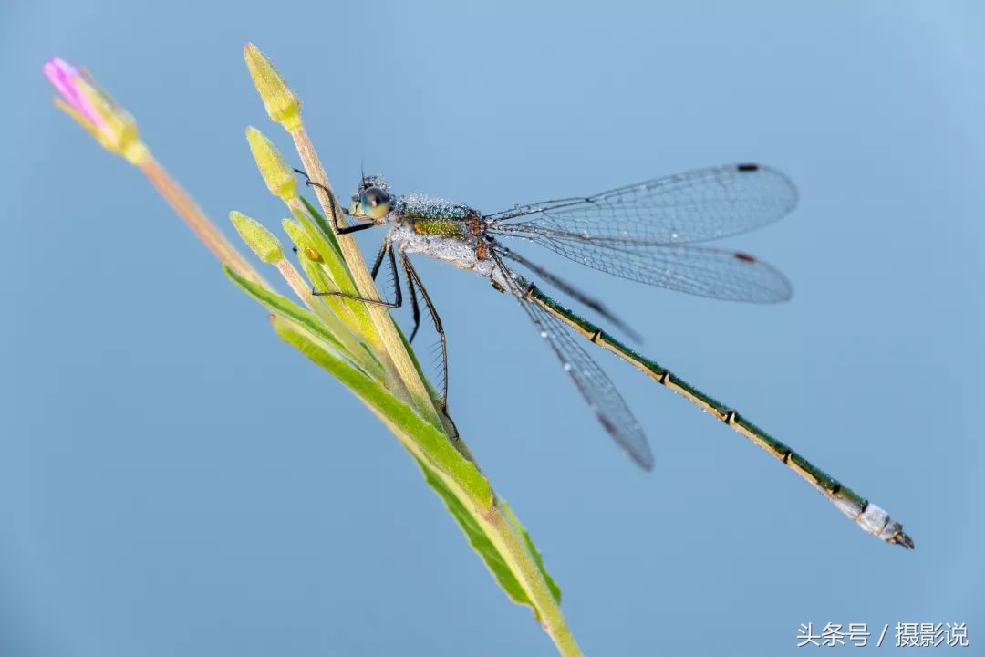 ross璇勬祴,ross娴嬭瘎