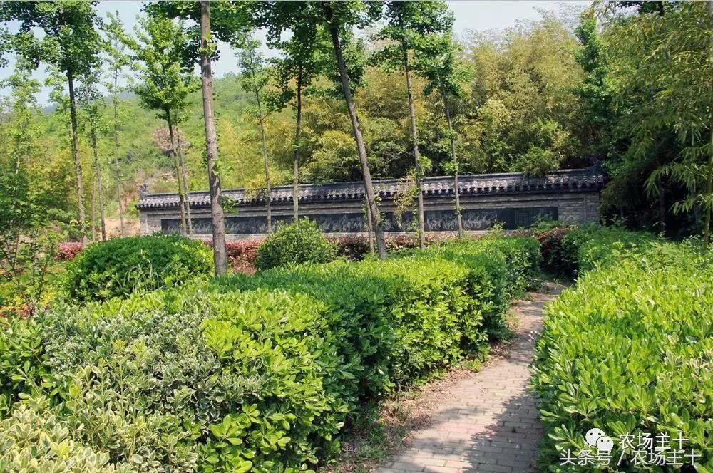 成功的休闲农庄需要具备哪些条件,做休闲农庄必须考虑的几个问题