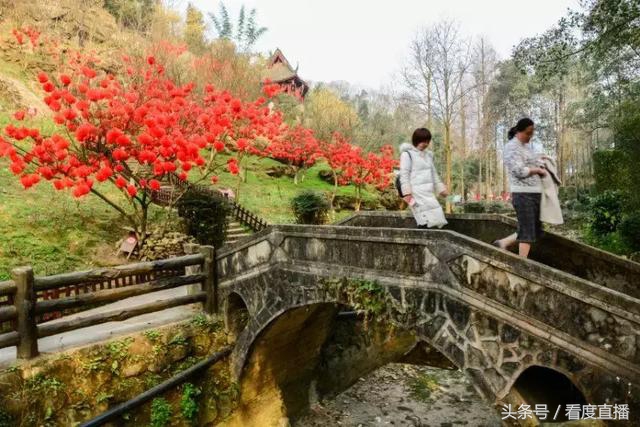 清明成都周边亲子游,成都周边清明三天假适合去哪玩
