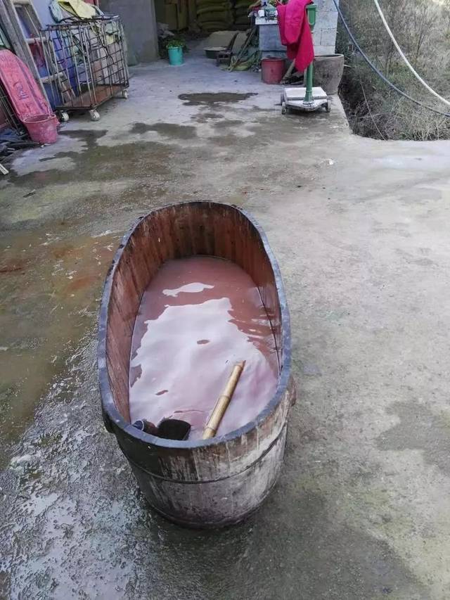 疫情也挡不住游子归家的心,疫情也挡不住吃货的心