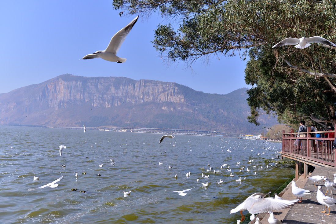 昆明到西安高铁途经站点,西安至南京高铁几个小时