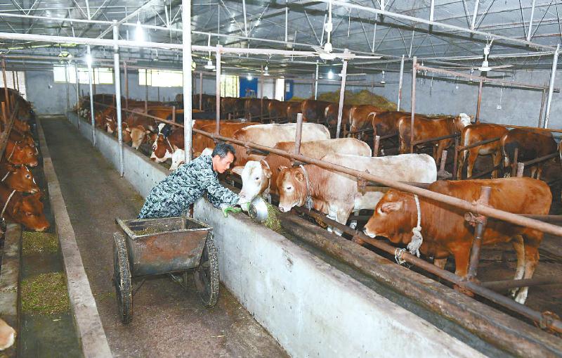 什么动物养殖最便宜最好养,药用动物养殖品种大全