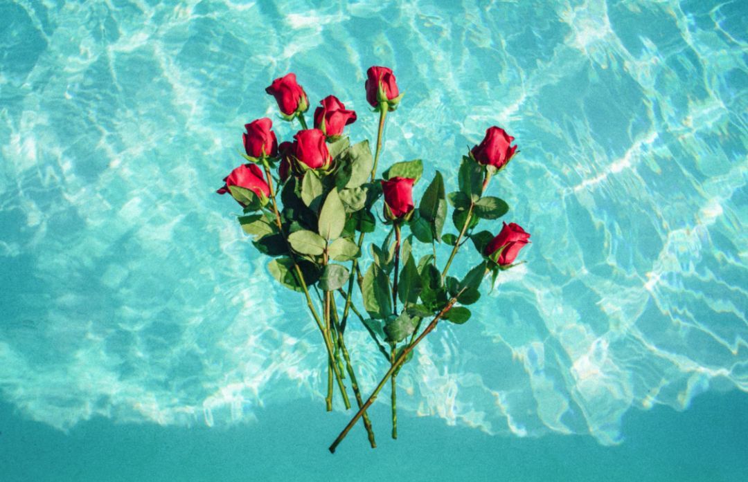 鸡汤语录励志爱情,每日鸡汤唯美的句子