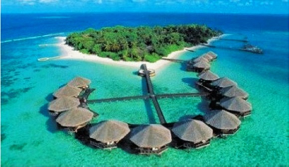 世界上贝壳里面最大的珍珠,最大珍珠贝壳