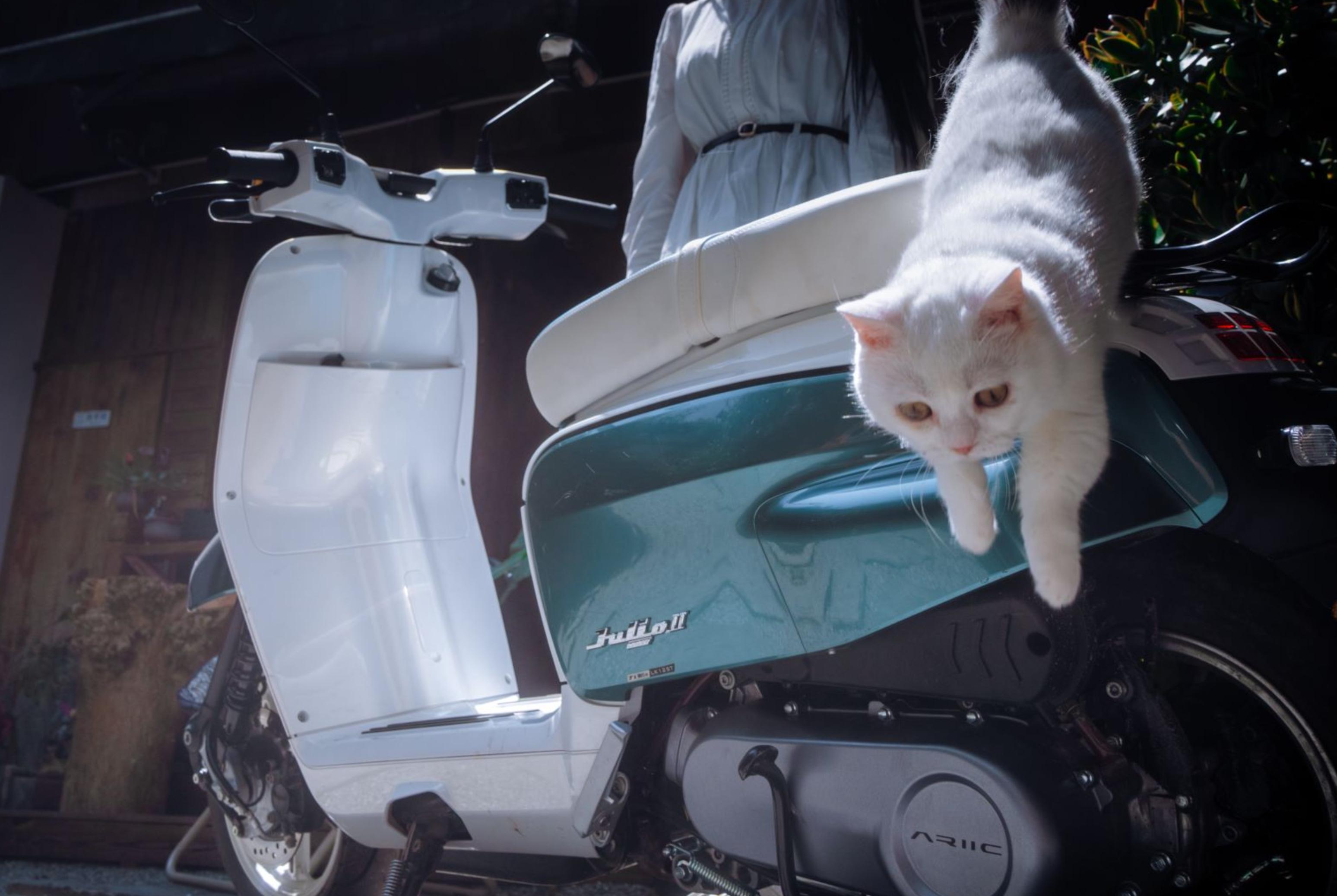 新款踏板爆料,新车万元内的复古踏板