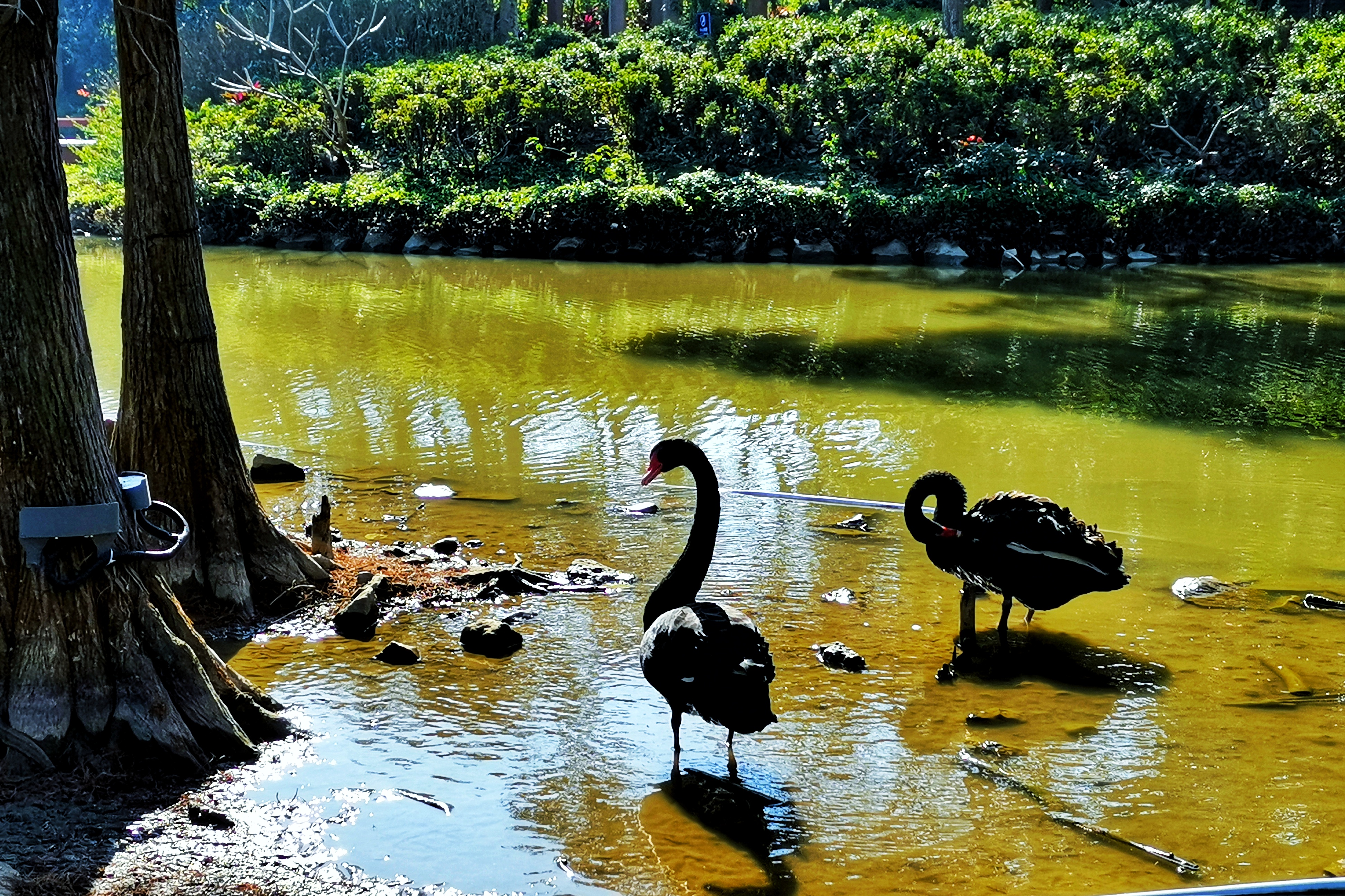 森波拉森林自驾游攻略,森波拉度假森林旅游攻略