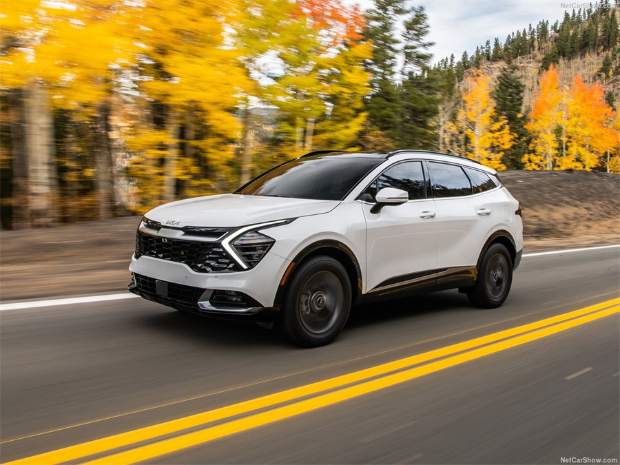 起亚狮跑各款车型,起亚全新狮跑车型