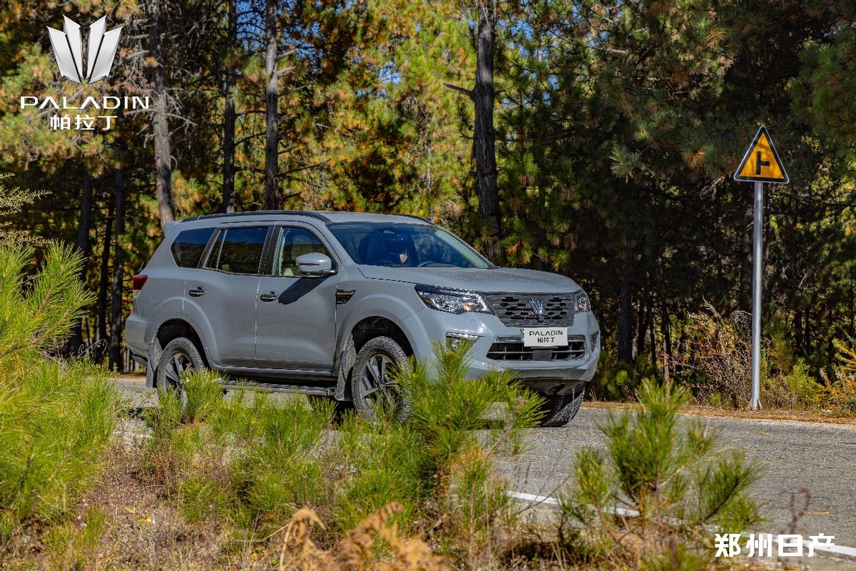 达喀尔拉力赛帕拉丁2004年,尼桑帕拉丁达喀尔拉力赛